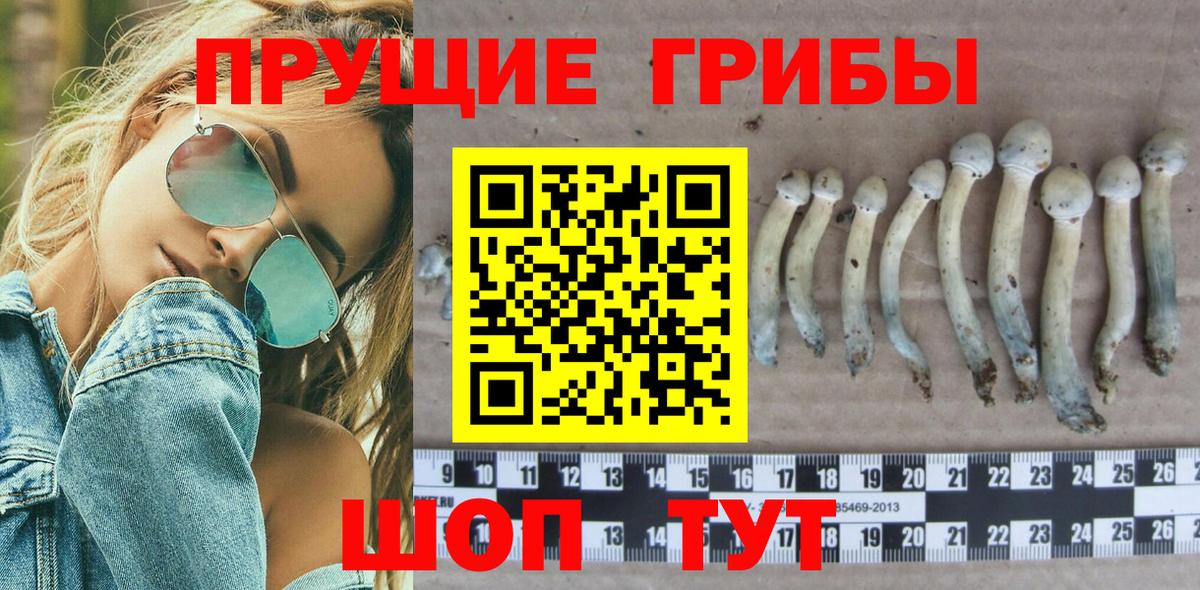 Галлюциногенные грибы прущие грибы Клин