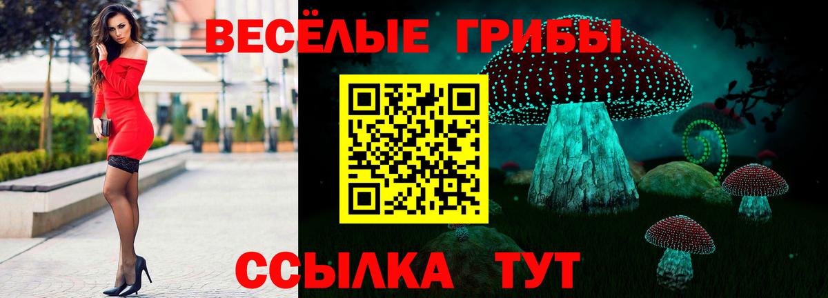 Галлюциногенные грибы прущие грибы  Вход с VPN  Клин  Псилоцибиновые грибы Cubensis 