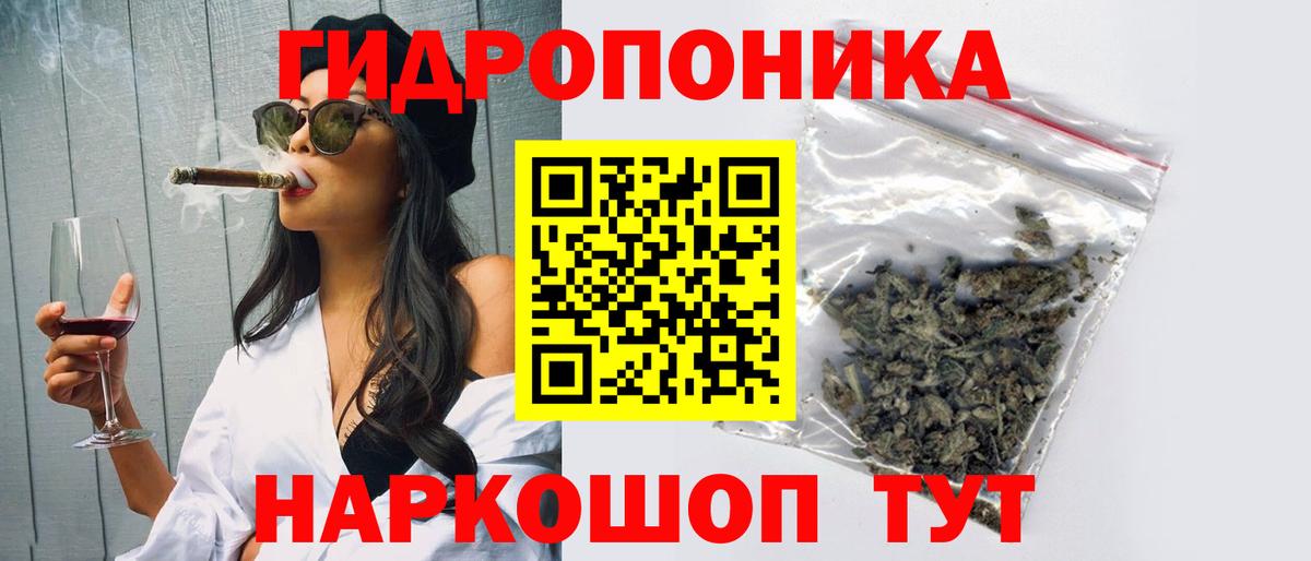 Бошки Шишки марихуана  Вход с VPN  Каннабис Bruce Banner  Клин  Шишки марихуана марихуана 